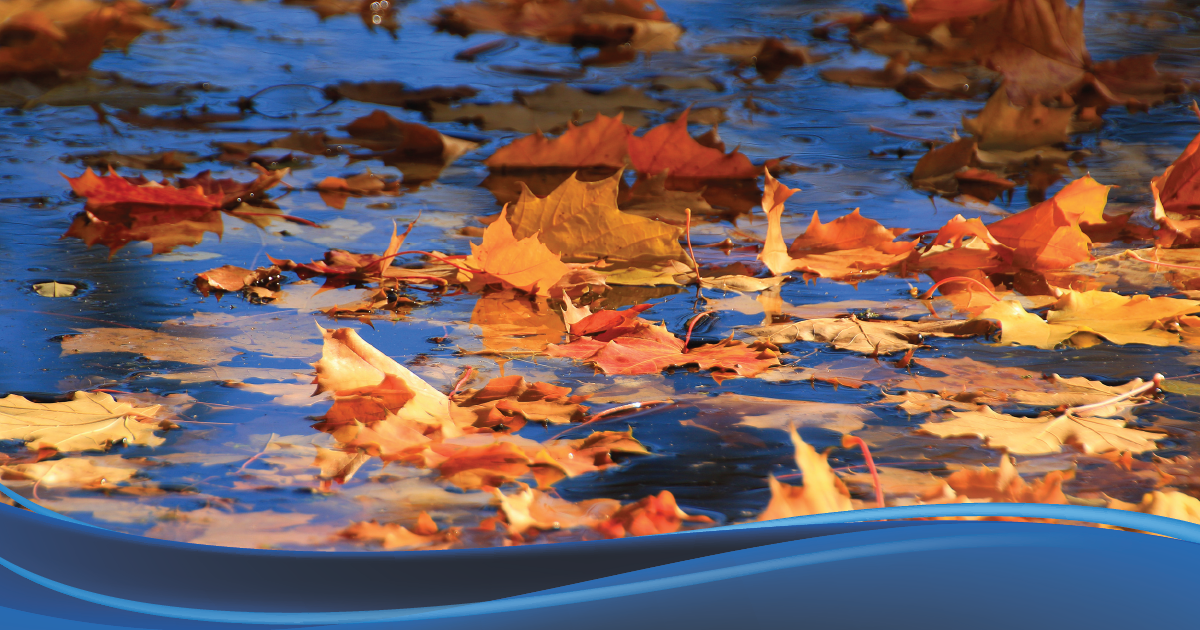 Disinfection Byproducts: What to Know